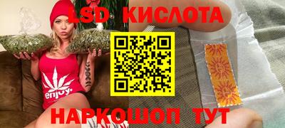 крисы Кинель